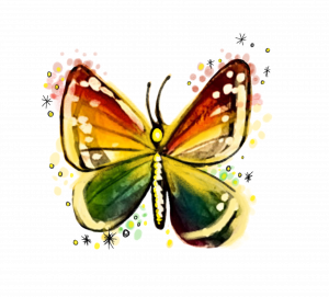 rainbow butterfly