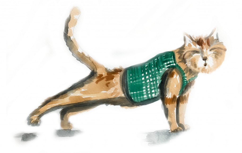 Mister Mishkins stretching