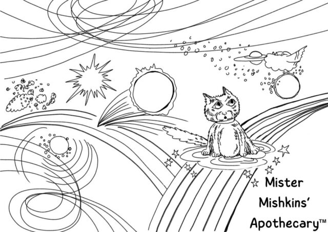 Minski II in space